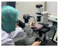 Welcome to Jamia Millia Islamia - A Central University