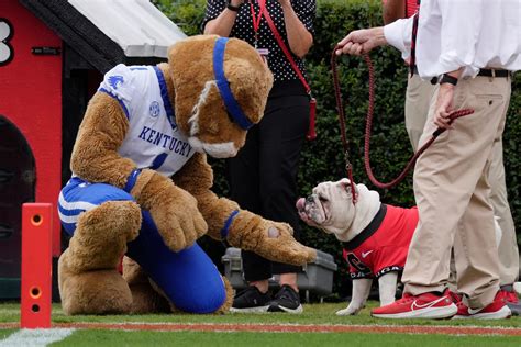 What is Shillelagh Trophy? What to know of Notre Dame-Purdue rivalry