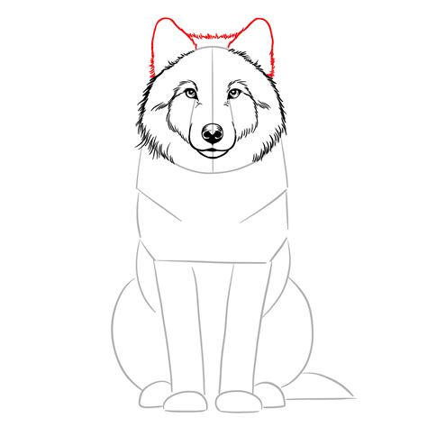 Image result for How to Draw Wolves