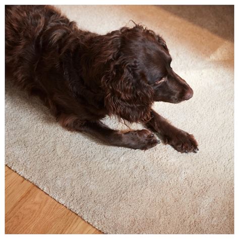 STOENSE rug, low pile, off-white, 200x300 cm (6'7"x9'10") - IKEA