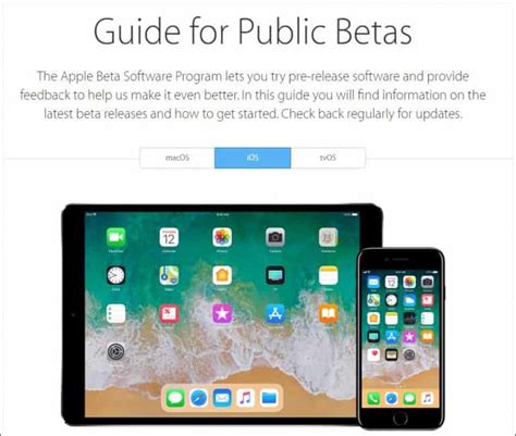 Apple Beta Program 的图像结果