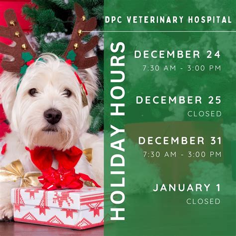 DPC Veterinary Hospital🐾🩺 (@dpc_vet) • Instagram photos and videos
