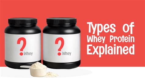 10 Best Whey Isolate Proteins in India 2026 [Protyze Ranked #1] | Top ...