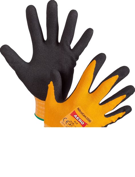 Trio Export Import 的图像结果