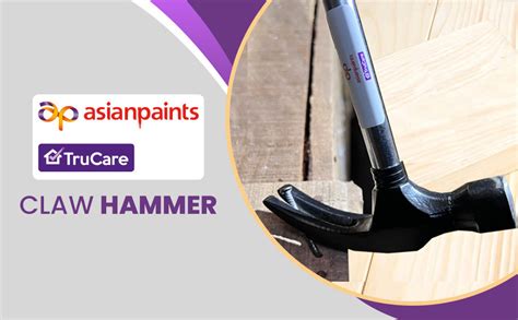Asian Paints Trucare Drop Forged Claw Hammer with Rubber Grip ...
