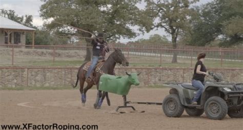 Image result for Team Roping Smarty