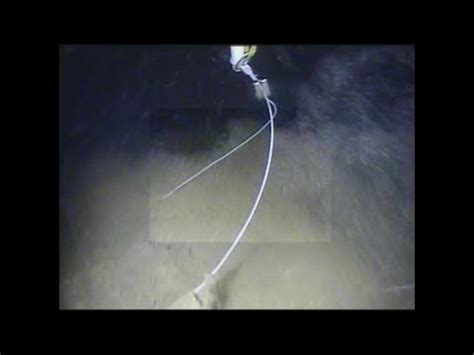 Lake Lanier Water Temp: Is it Safe to Swim? Updated Hourly ...