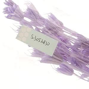 Buy SHOVIAR Dried Star Anise Flower Bouquet Floral Branch Table ...