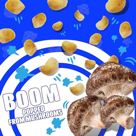 Buy Real Naturals mushroom chips from real shitake mushrooms (Variety ...