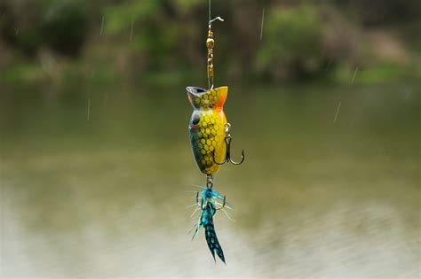 Texas Fishing License (All Waters Detailed)