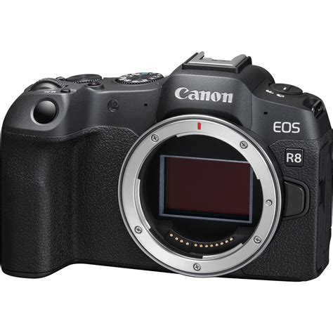 Canon EOS Camera 的图像结果