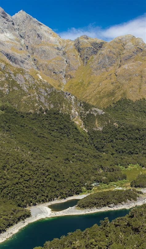 Download wallpaper mountains, lake, vegetation, New Zealand, Lake ...