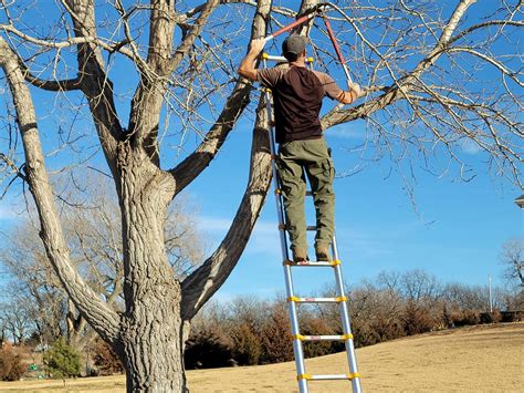 Telescoping Ladders 的图像结果