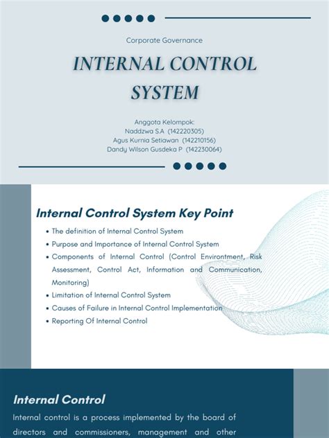 Internal Control System 的图像结果