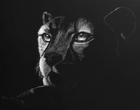 Image result for Scratchboard Examples