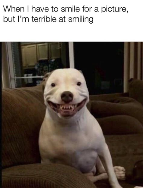 My teeth are as bad as a British person's : r/memes