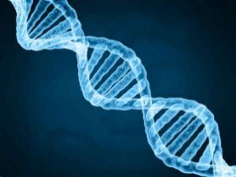 Gene responsible for increased risk of infantile fragility found