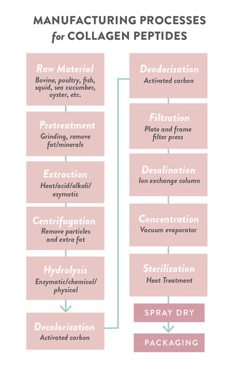 Collagen Vs. Bone Broth Vs. Protein: The Differences And Benefits – FUKQQ