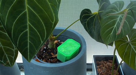 Iot Program for Soil Sensor 的图像结果