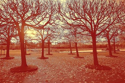 October landscape / autumn in the park, yellow october trees, alley in ...