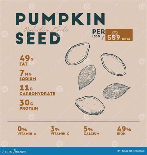 Nutrition Facts of Pumpkin Seed, Hand Draw Vector Stock Vector ...