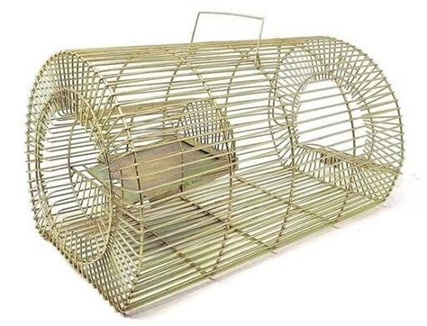POPO Rat, Rodent, Mouse Trap/Catcher Iron Big Size - Ultimate Solution ...