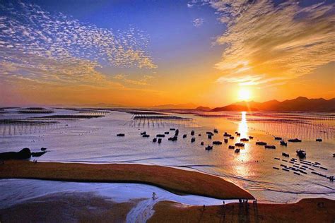 中国首个滩涂保护区 世界最大野生丹顶鹤群集结地之一_大鹏网