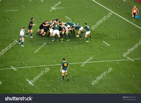 Image result for Springbok Rugby Team