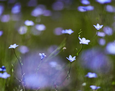 Image result for Neutral Density Filter Tutorial