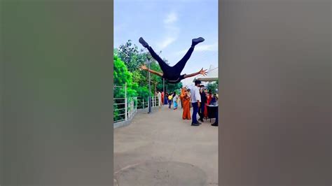 Flipper Stunt 的图像结果