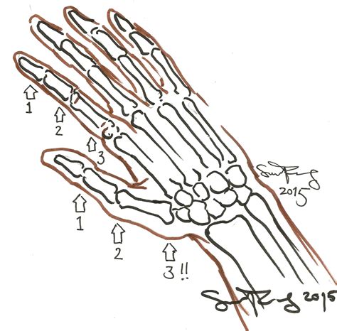 Image result for Hand Drawing Tutorial