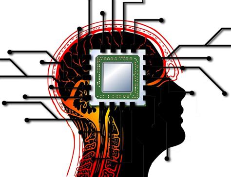 Image result for Visual Perception Meaning