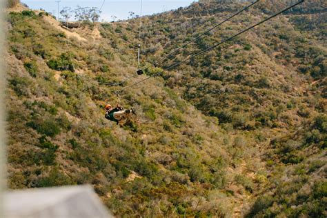 Catalina Zip Line