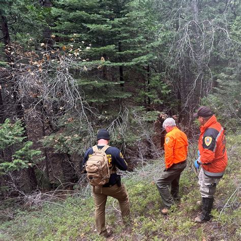 3 found dead during search for fallen hiker in California, authorities say