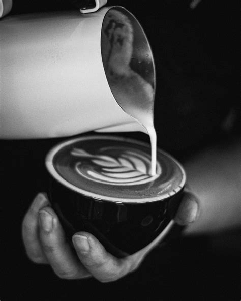 FRAME Coffee Roasters — Bio Site