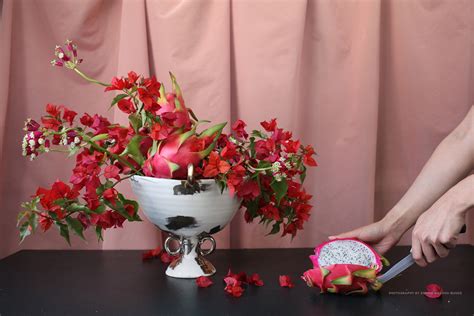 FRANCES PALMER SERIES – Emily Thompson Flowers