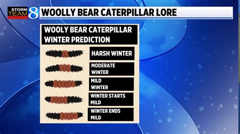 Ask Ellen: Can a caterpillar predict the upcoming winter? | WOODTV.com