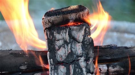 Image result for Log Fire HD