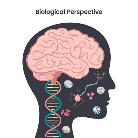 Biological Perspective psychology education vector illustration design ...