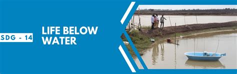 Sustainable Development Goals (SDG) - KLEF