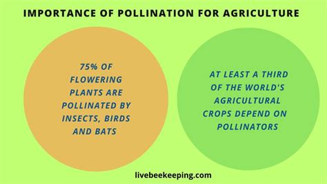Pollination Importance 的图像结果