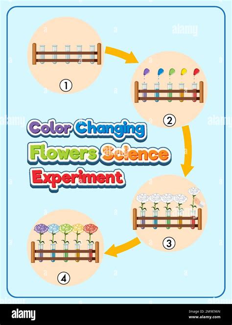 Image result for Color Changing Experiment