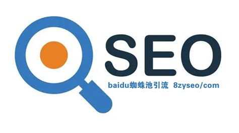什么是seo关键词优化（seo蜘蛛池快速收录）-8848SEO