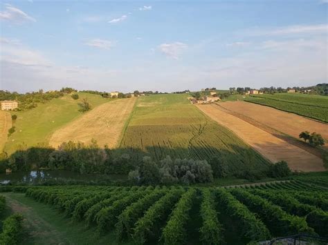 Open File Server 的图像结果