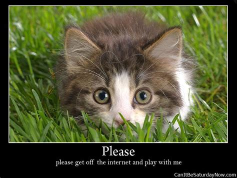 Prank Your Friends by Turning Off Internet 的图像结果