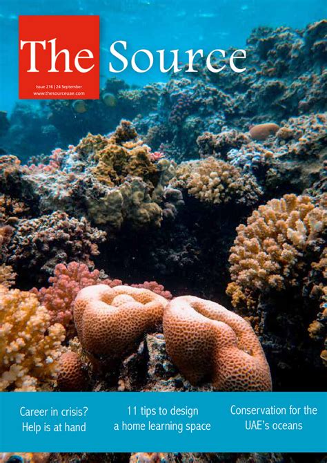 Local Source Magazine 的图像结果