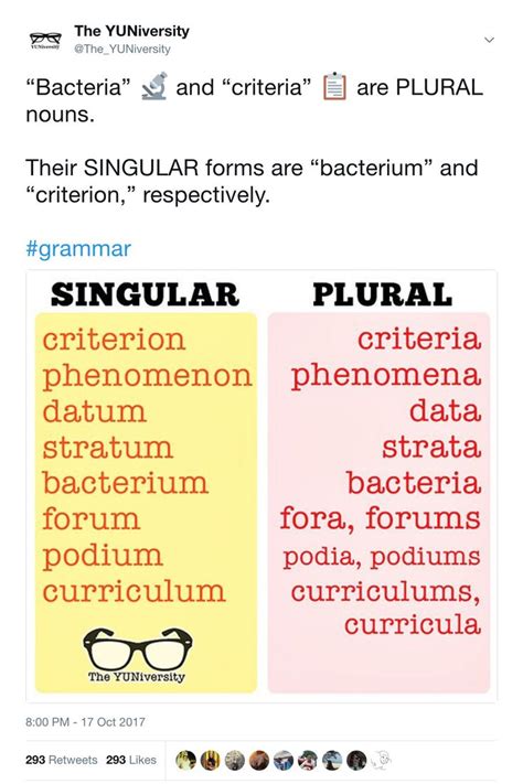 What Is the Plural of Curriculum