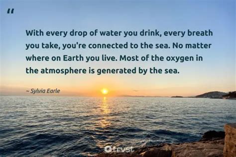 50 Environment Quotes to Inspire Environmental Conservation