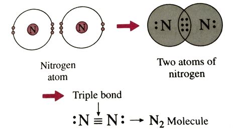 Electrons In Nitrogen