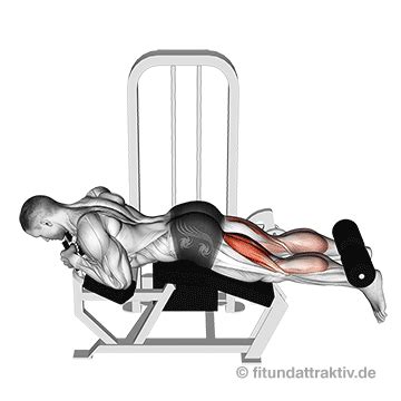 Exercise Behinner 的图像结果